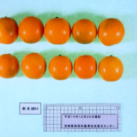 果实 (MAFF, Japan)