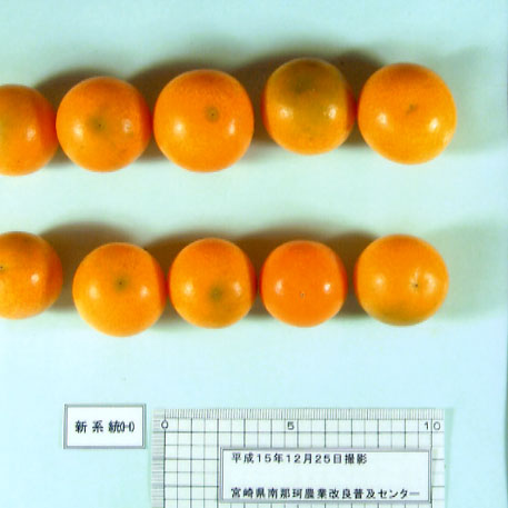 果实 (MAFF, Japan)