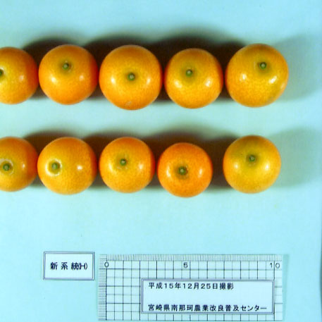 果实 (MAFF, Japan)