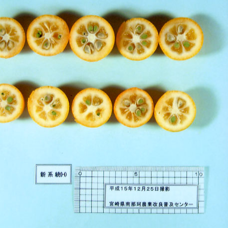 果实 (MAFF, Japan)