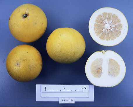 果实 (MAFF, Japan)