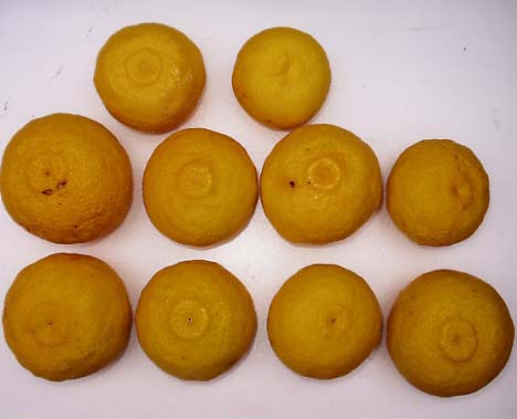 果实 (MAFF, Japan)