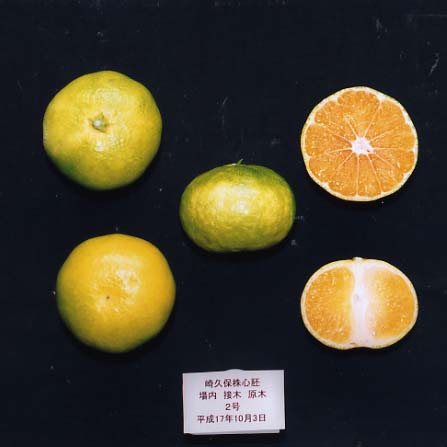 果实 (MAFF, Japan)