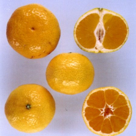 果实 (MAFF, Japan)