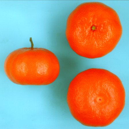 果实 (MAFF, Japan)