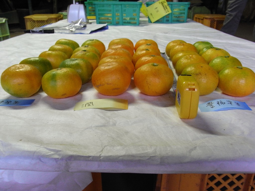 果实 (MAFF, Japan)