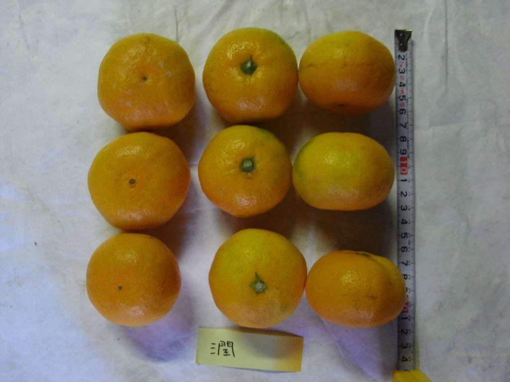 果实 (MAFF, Japan)