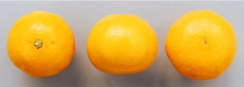 果实 (MAFF, Japan)