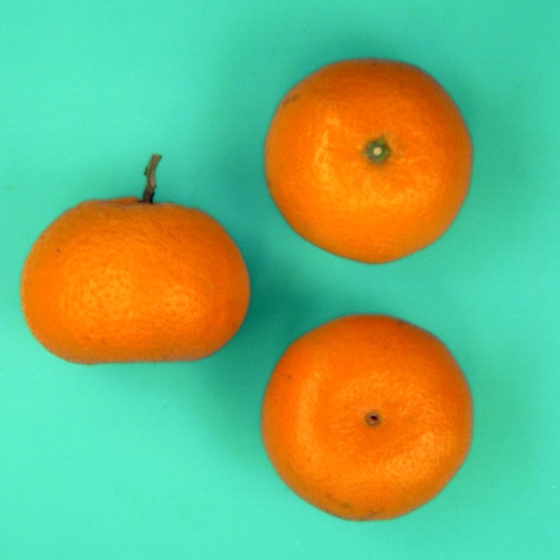 果实 (MAFF, Japan)