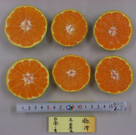 果实 (MAFF, Japan)