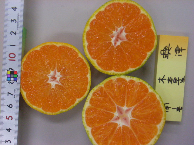 果实 (MAFF, Japan)