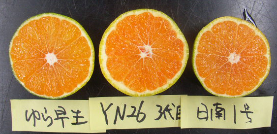 果实 (MAFF, Japan)