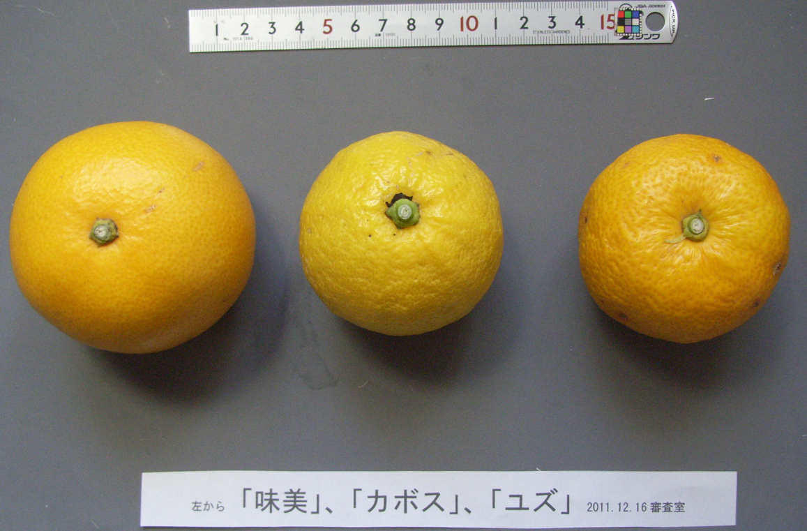 果实 (MAFF, Japan)