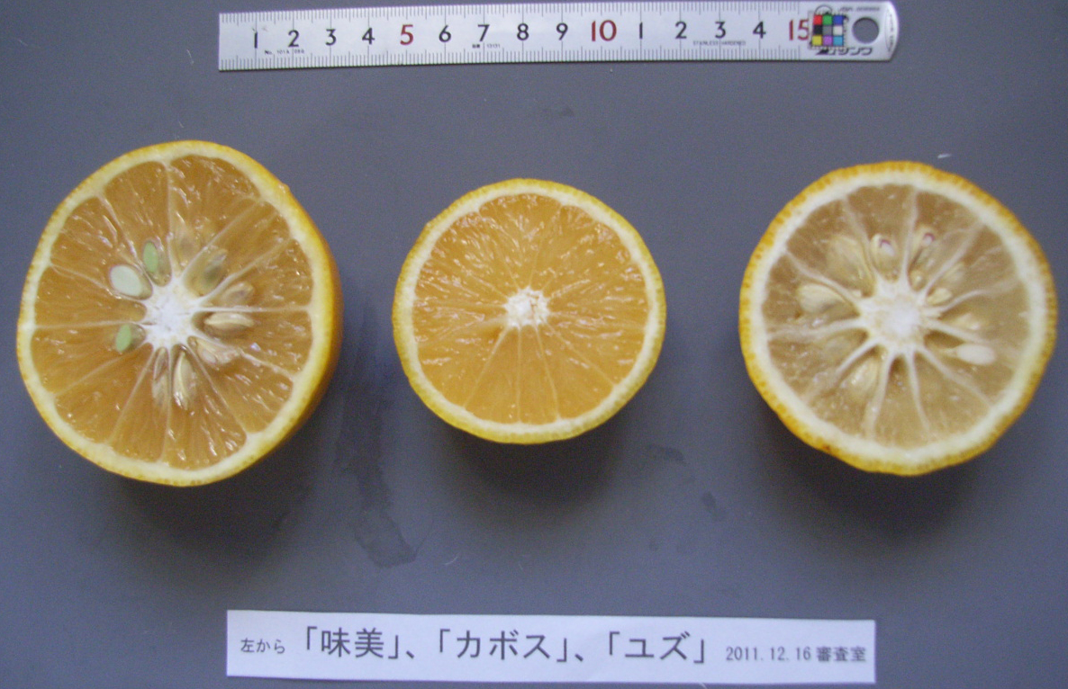 果实 (MAFF, Japan)