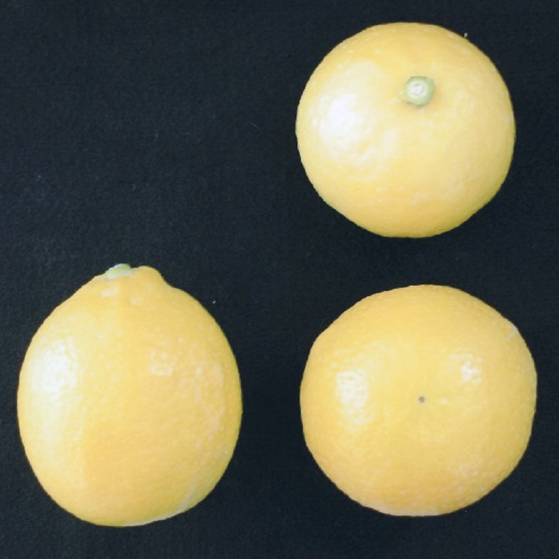 果实 (MAFF, Japan)