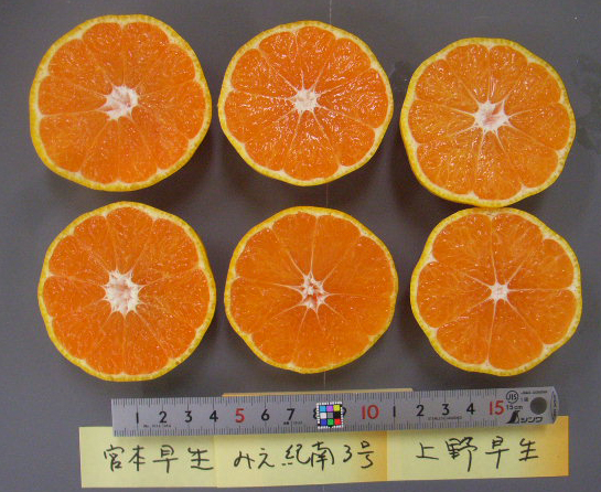 果实 (MAFF, Japan)