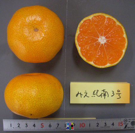 果实 (MAFF, Japan)