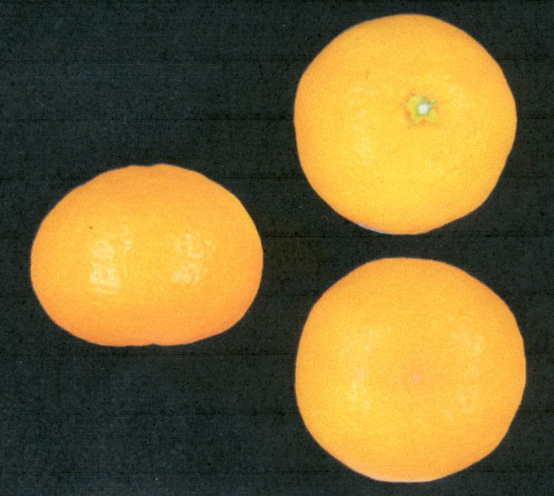 果实 (MAFF, Japan)