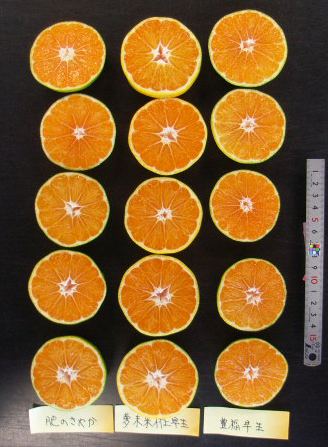 果实 (MAFF, Japan)