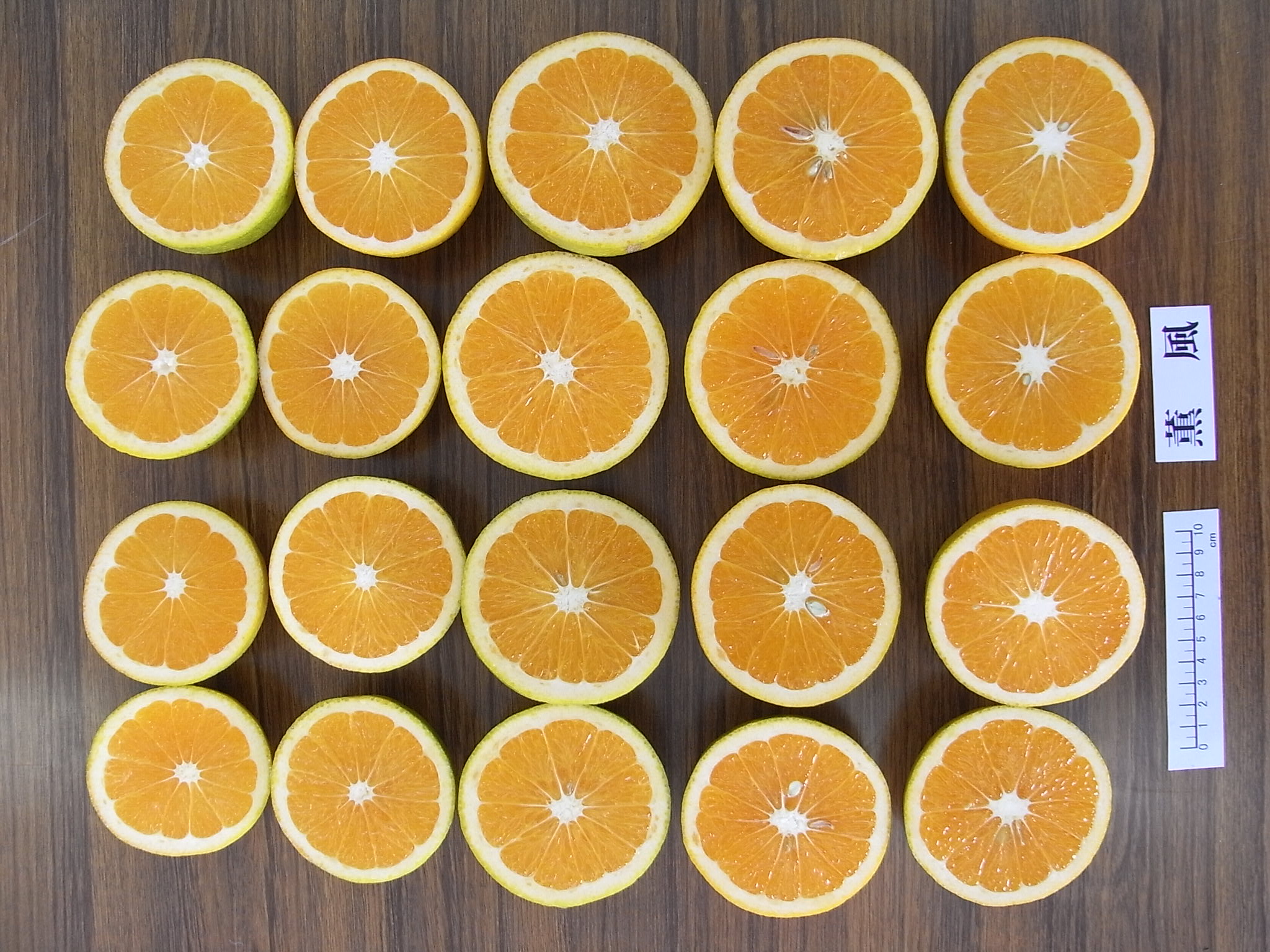 果实 (MAFF, Japan)