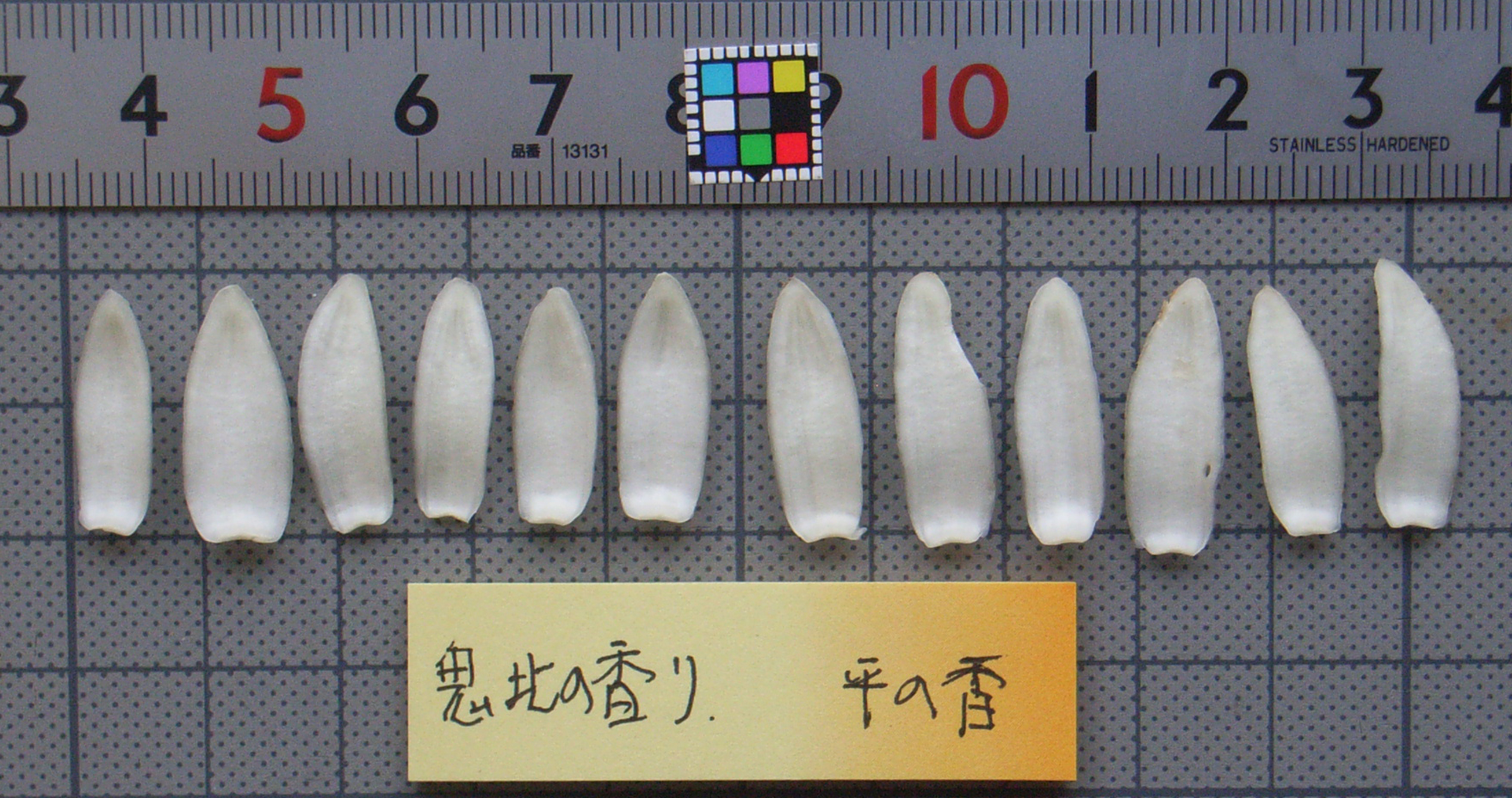 果实 (MAFF, Japan)