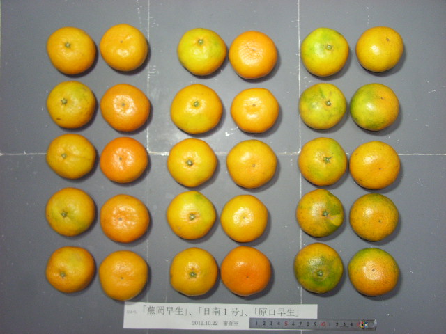 果实 (MAFF, Japan)