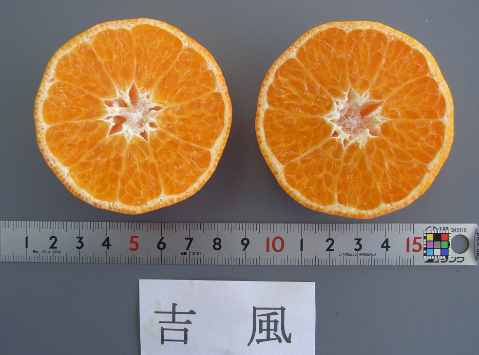 果实 (MAFF, Japan)