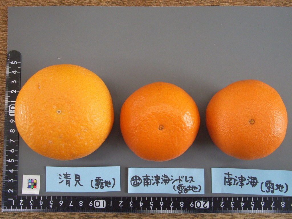 果实 (MAFF, Japan)