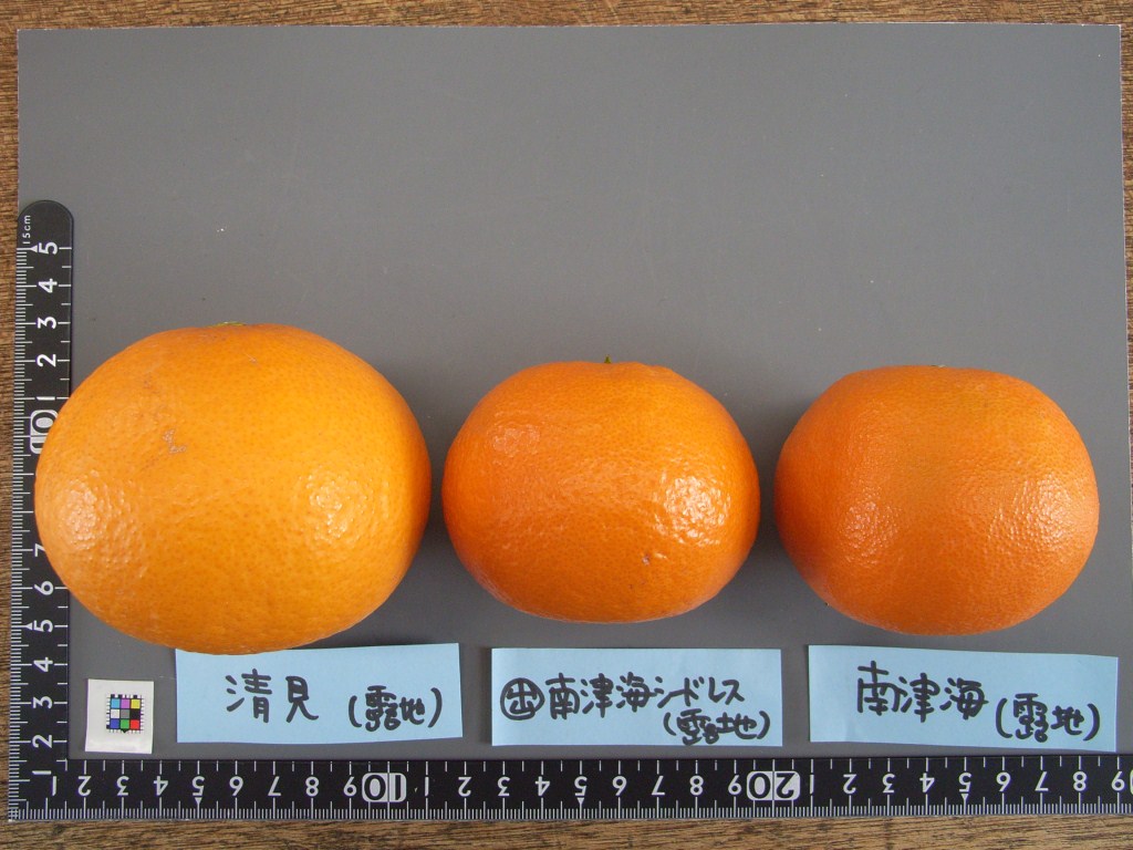 树体 (MAFF, Japan)