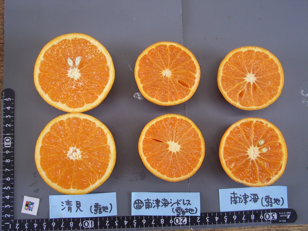 果实 (MAFF, Japan)