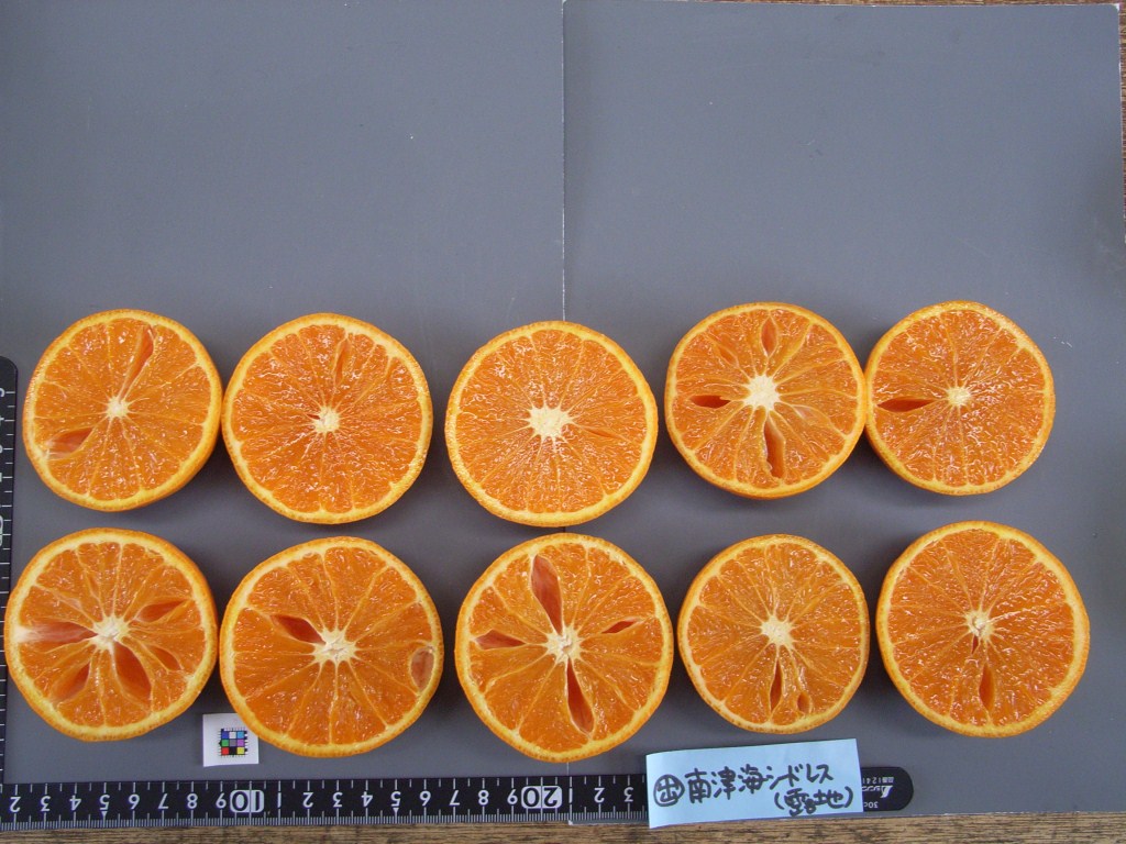 果实 (MAFF, Japan)