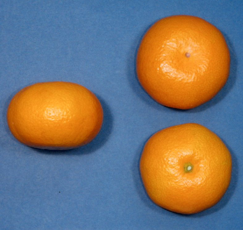 果实 (MAFF, Japan)