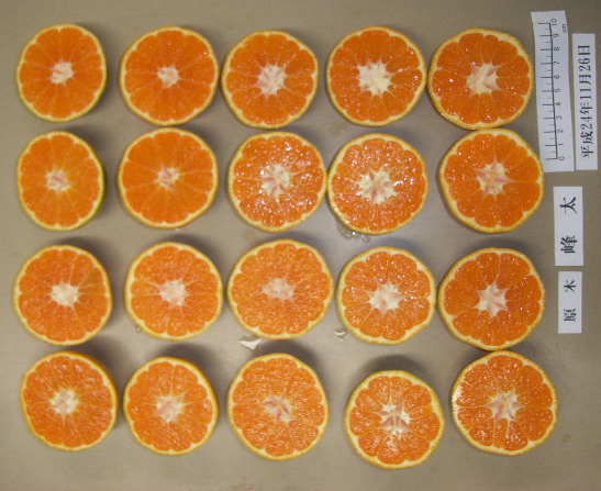 果实 (MAFF, Japan)