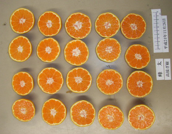 果实 (MAFF, Japan)