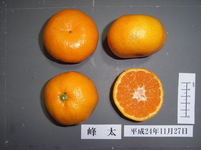 果实 (MAFF, Japan)