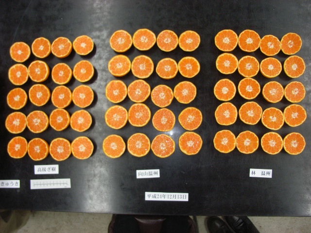 果实 (MAFF, Japan)