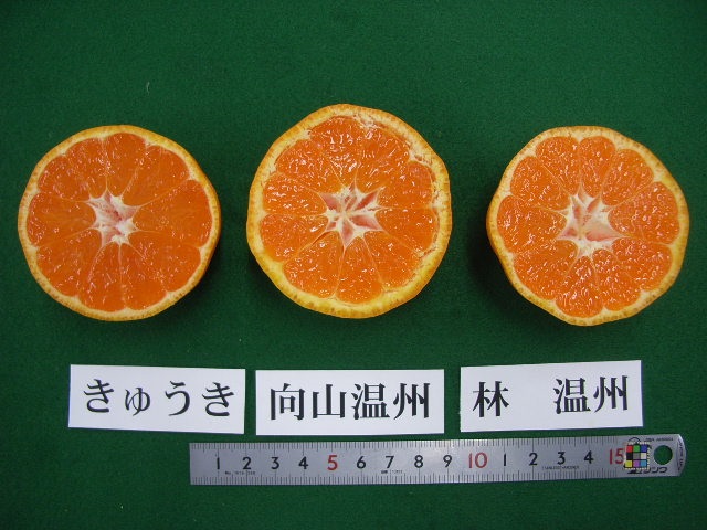 果实 (MAFF, Japan)