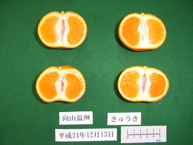 果实 (MAFF, Japan)