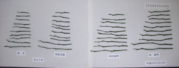 果实 (MAFF, Japan)