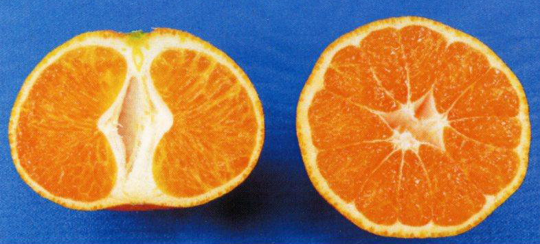 果实 (MAFF, Japan)