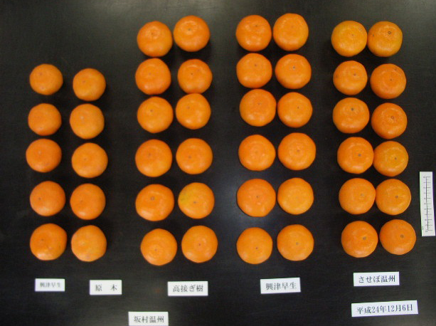 果实 (MAFF, Japan)