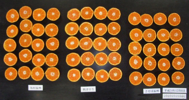 果实 (MAFF, Japan)