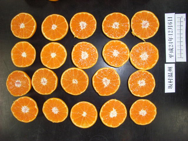 果实 (MAFF, Japan)