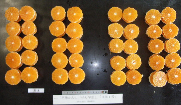 果实 (MAFF, Japan)