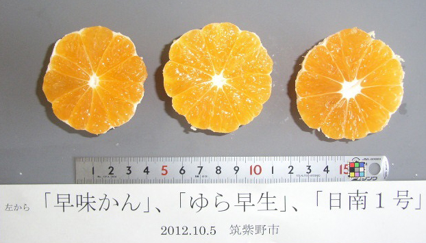 果实 (MAFF, Japan)