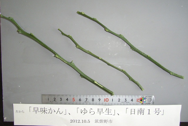 果实 (MAFF, Japan)