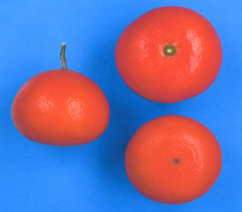 果实 (MAFF, Japan)