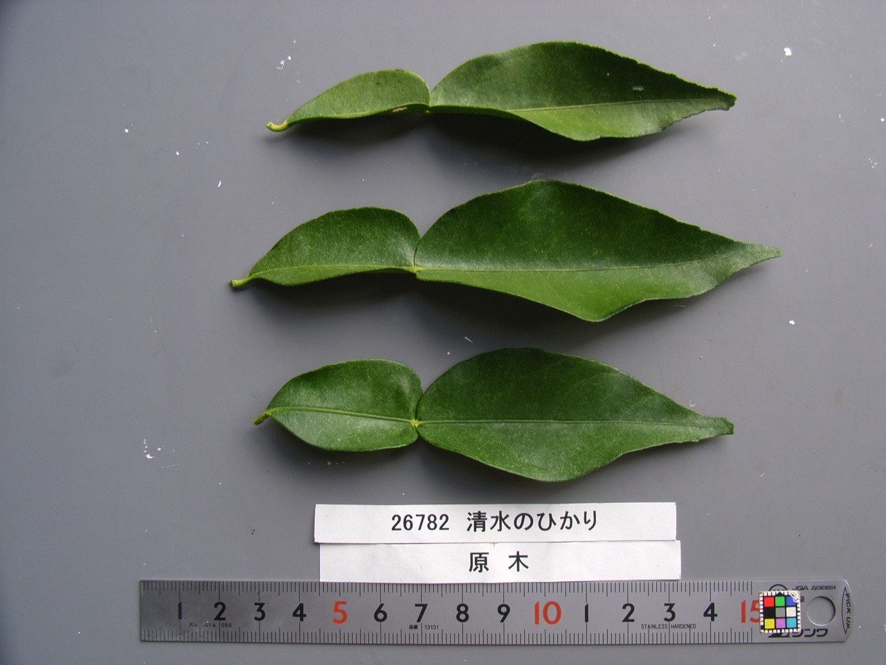 果实 (MAFF, Japan)