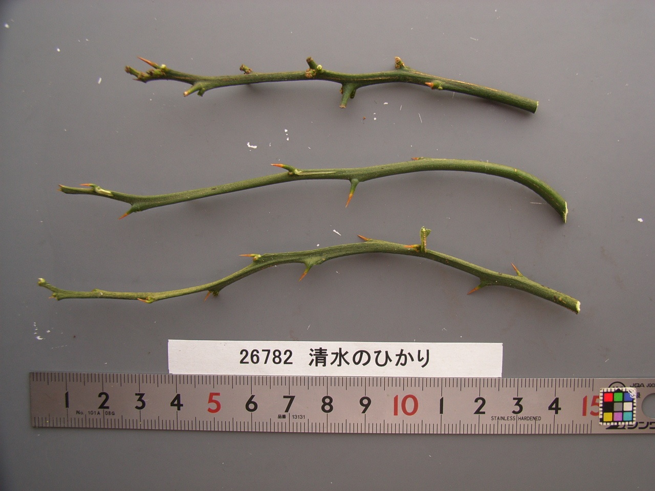 果实 (MAFF, Japan)