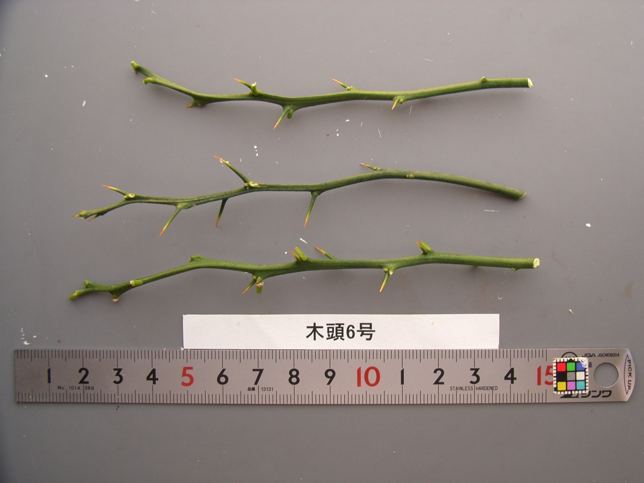 果实 (MAFF, Japan)